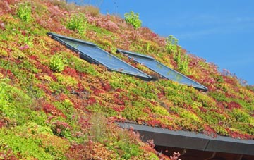 Lode Heath living roof systems