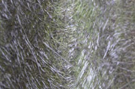 Lode Heath fibreglass roof work