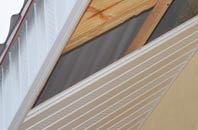 rated Lode Heath soffit repair companies